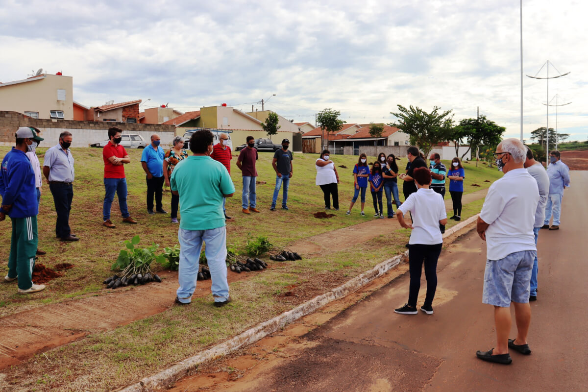 Plantio_arvores_2.jpg